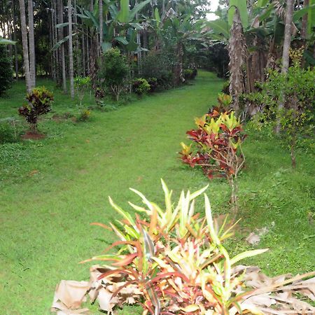 Sathwik Homestay Kumta 외부 사진