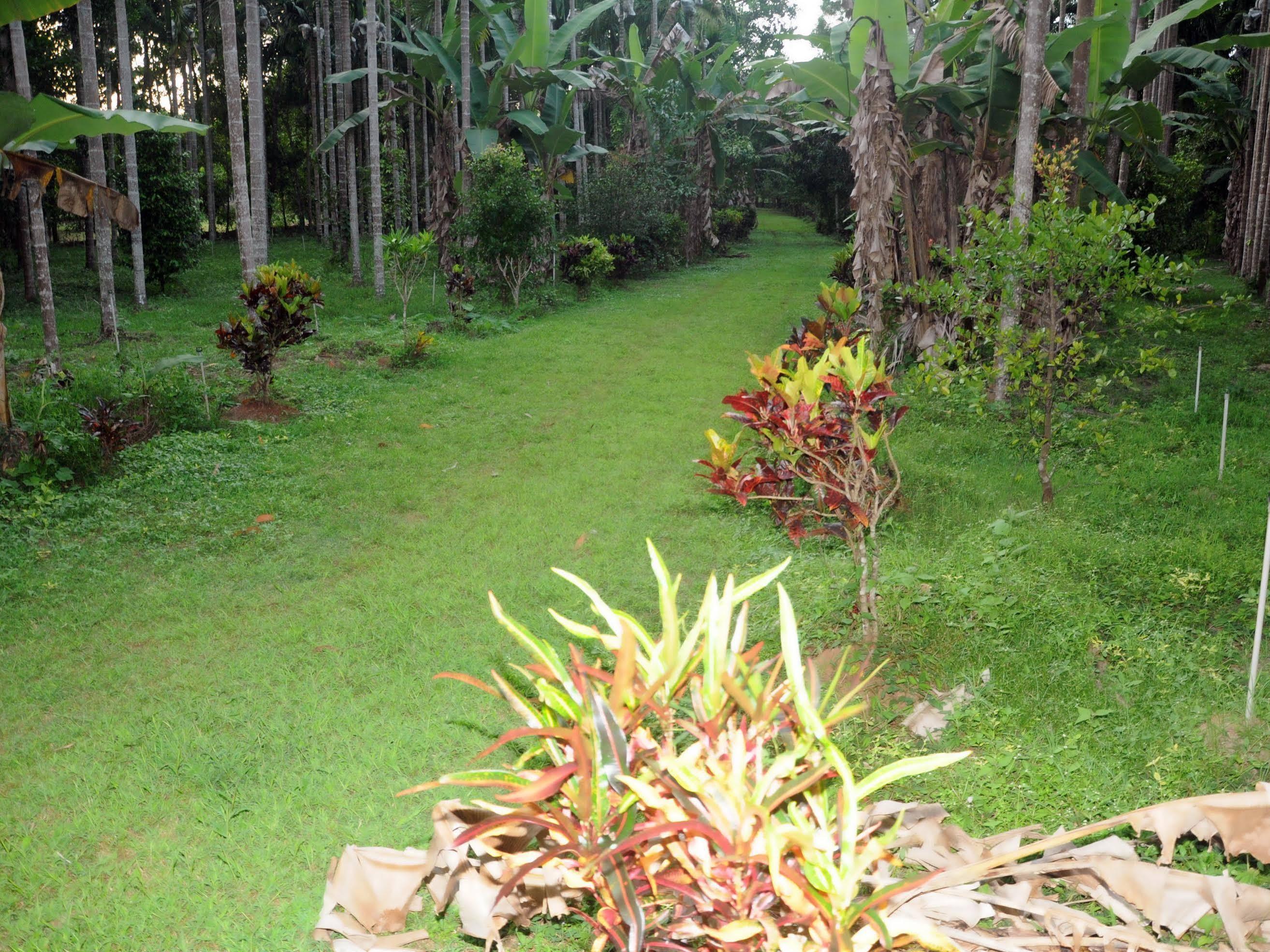 Sathwik Homestay Kumta 외부 사진